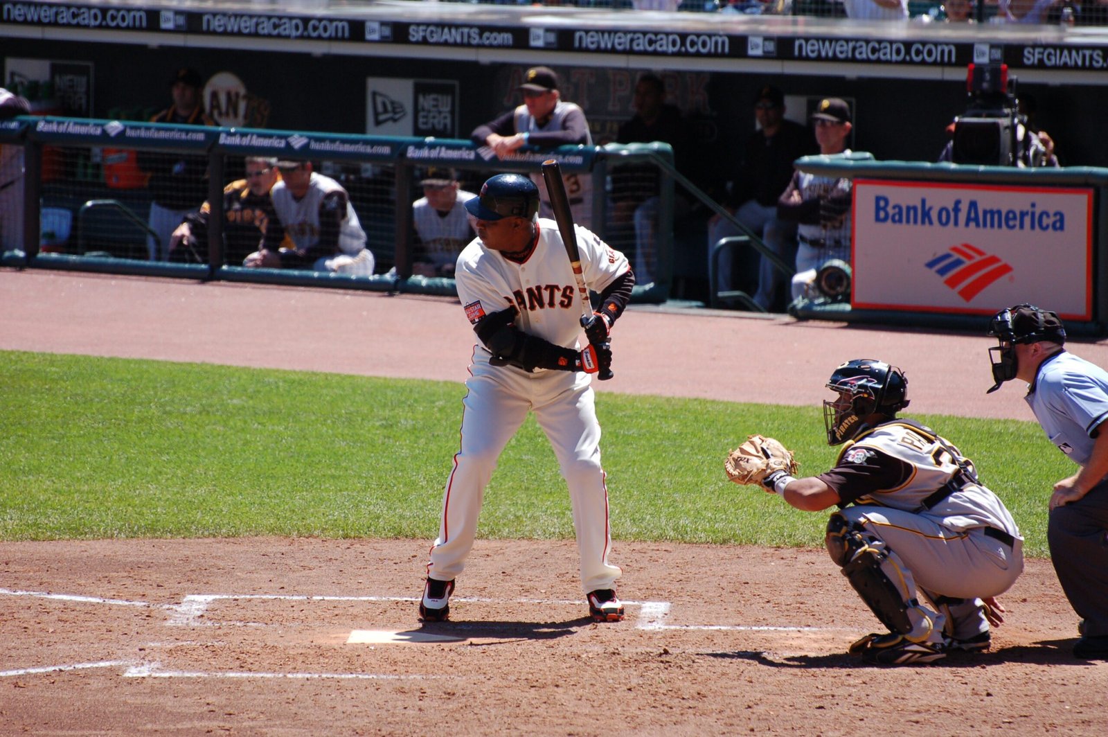 Barry Bonds Playing